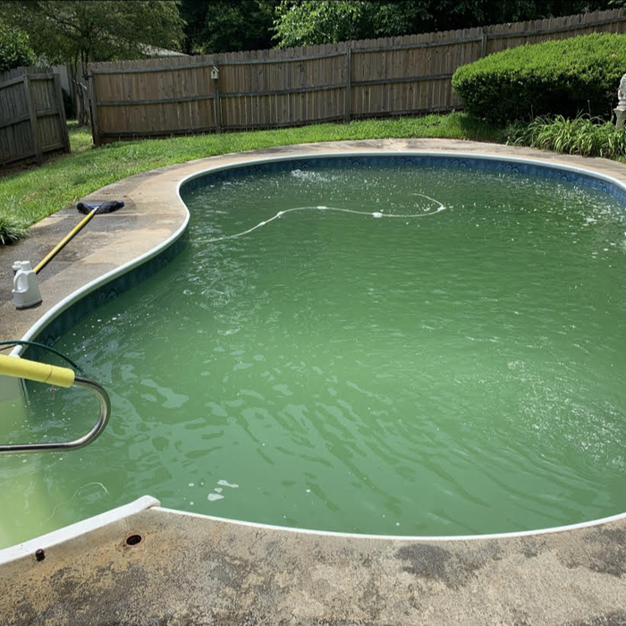 Pool Pictures
