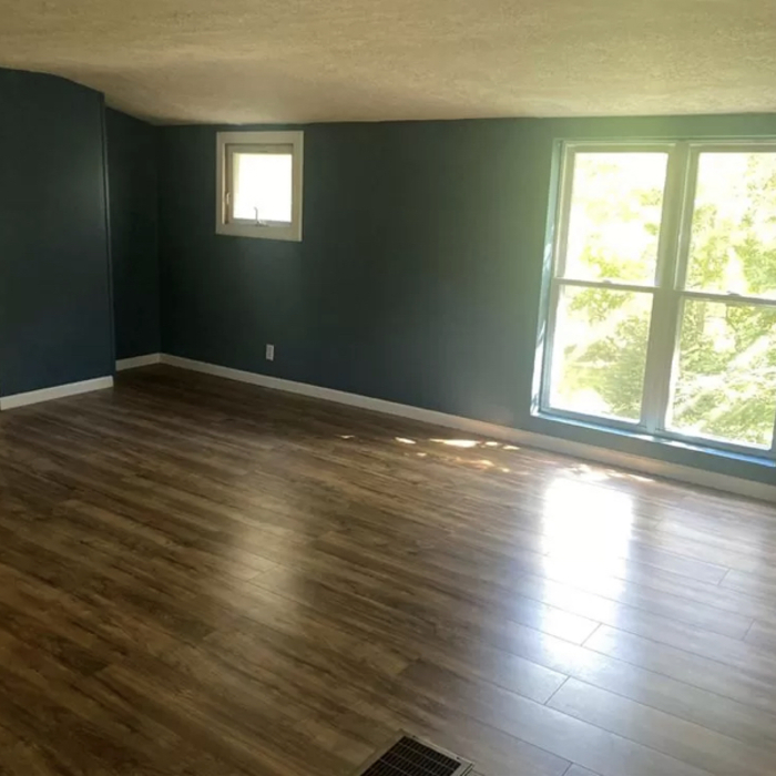 Flooring/Trim/Paint