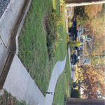 Leaf Cleanup