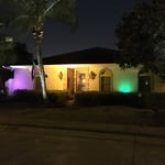 Mardi Gras Theme