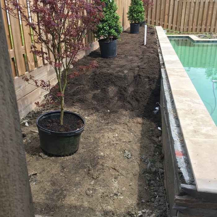 Garden 1