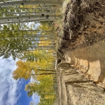 Cottonwood Creek