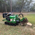 Stump Grinding