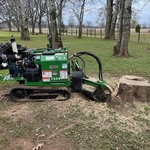 Stump Grinding in action
