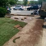 Sod Installation