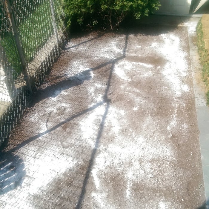 Sod installation program