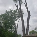 My jobs