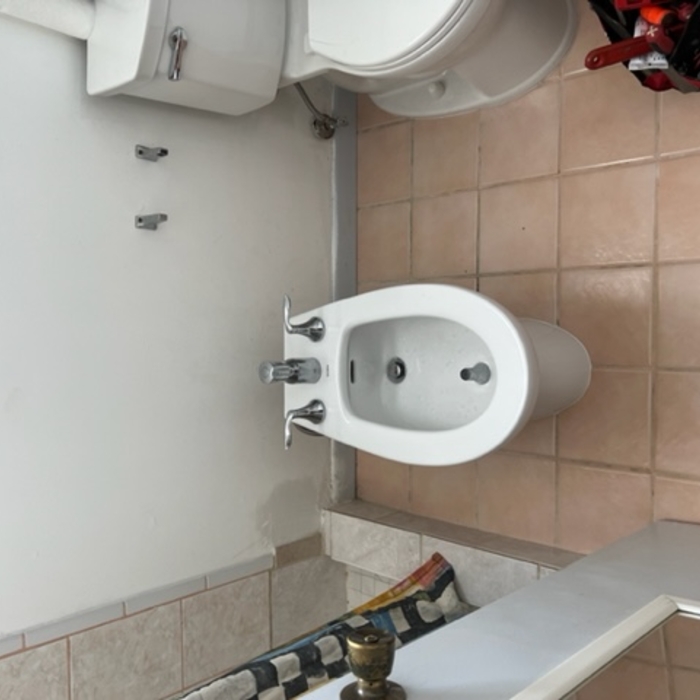 Bidet and Toliet Install