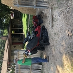 Stump Grinding