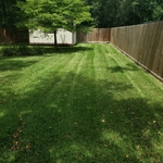 Mowing Backyard