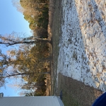 Yard Cleanup