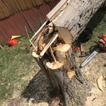 Tree removal from storm