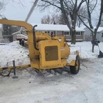 Tree Removal
