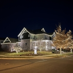 Warm white, Trees and Roofline, LED, 2000ft