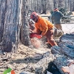 Tree Work
