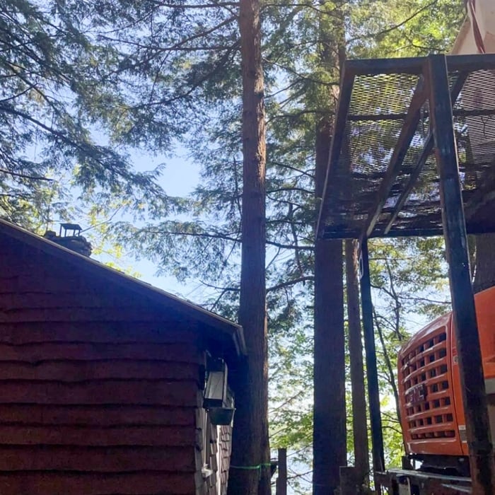 Tree in Deck