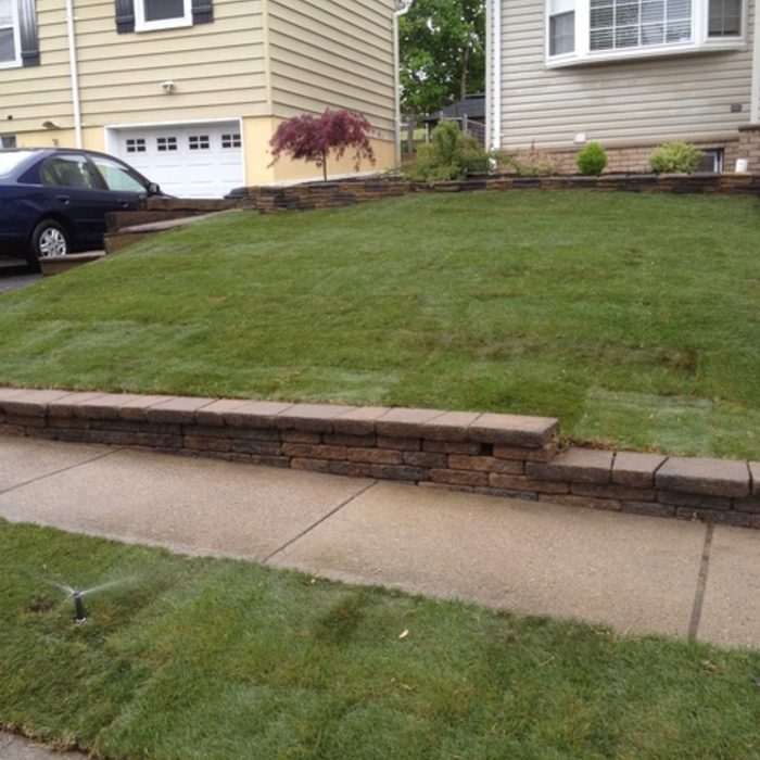 sod is in sprinkler on