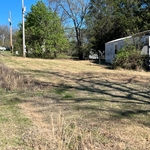 lawn care