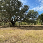 Land Clearing w/ Mulcher