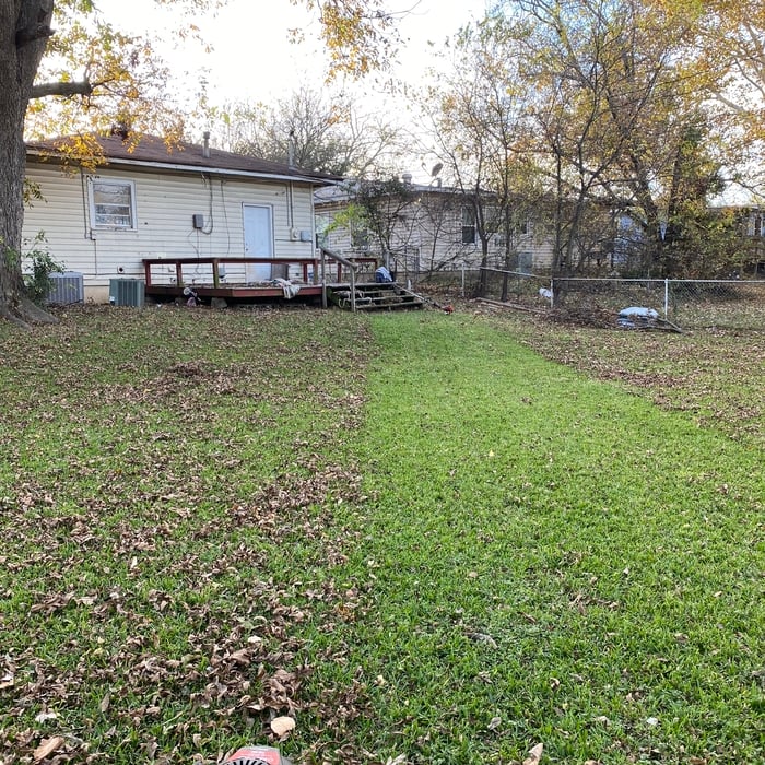 Backyard