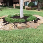 Landscpe Project