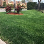 Landscpe Project