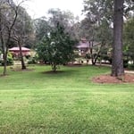 Yard maintenance