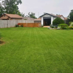 Lawncare and Clean Ups