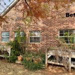 Lawncare and Clean Ups