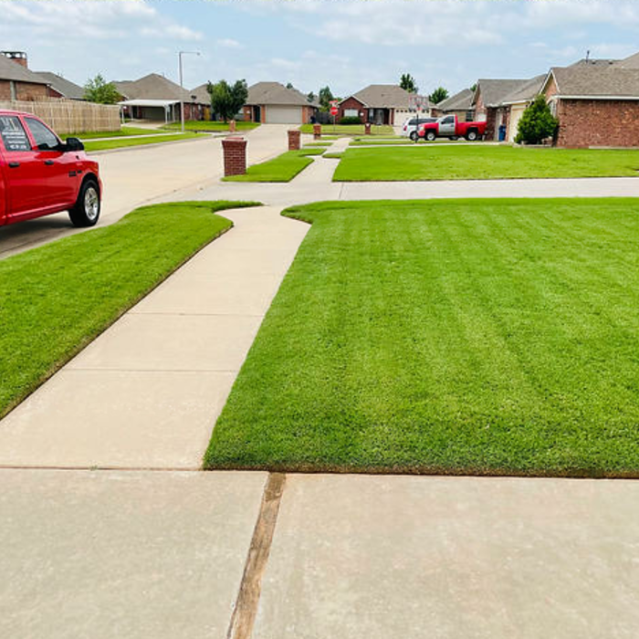 Lawncare and Clean Ups
