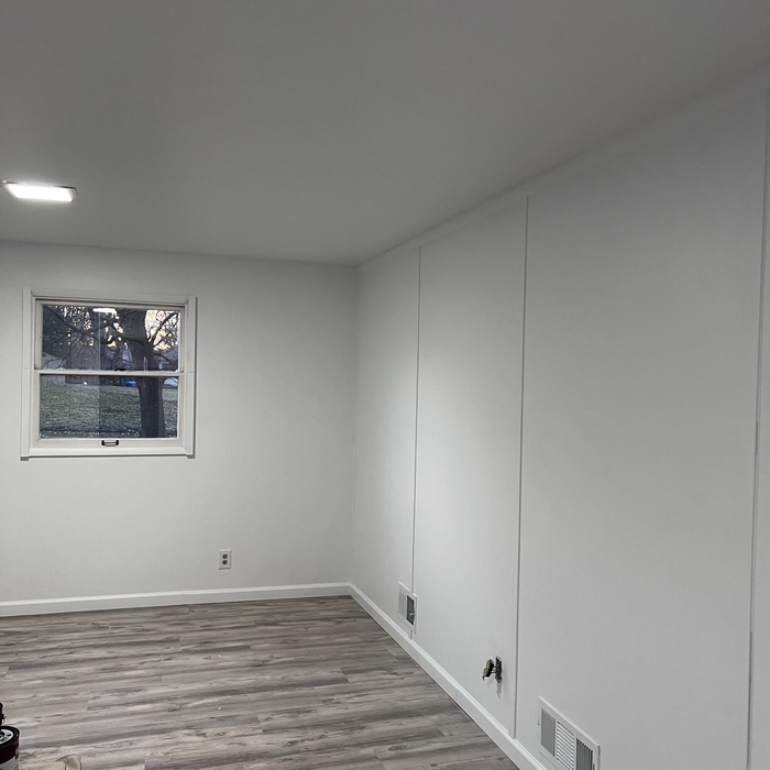 Basement remodel