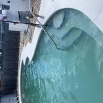 HAPPY POOLS!!