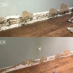 Demo Free Mold Removal