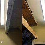 Demo Free Mold Removal