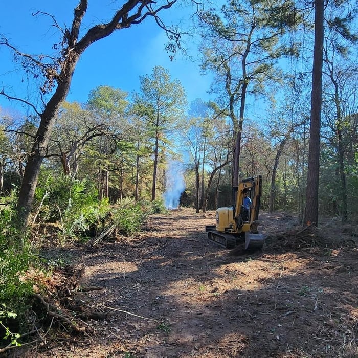 Underbrush Clearing