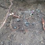 Valve box overhaul
