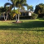 grass cutting