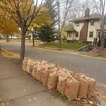 32 bags of leaves