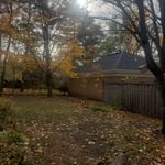 Backyard after