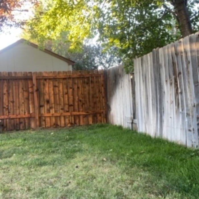 Fence Cleaning