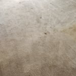 Before and afters