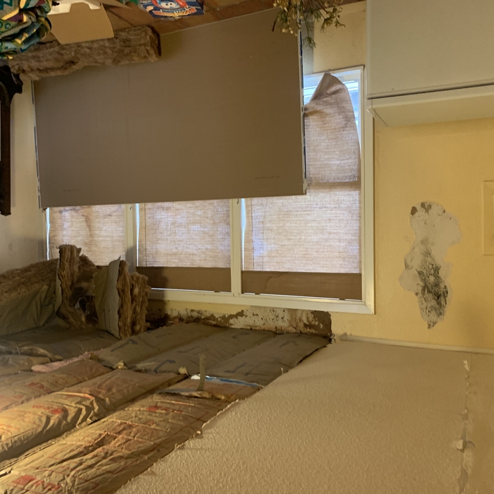 Ceiling and wall repair