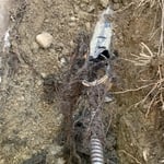 Root blockage in outside storm drain