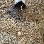 Root blockage in outside storm drain