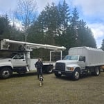 Trimming and Removals