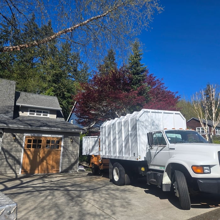Trimming and Removals