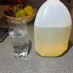 Brita Filter Before and After