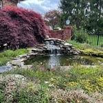 Pond with waterfall