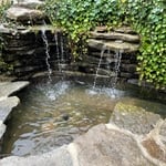 Vintage pond