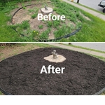 mulch